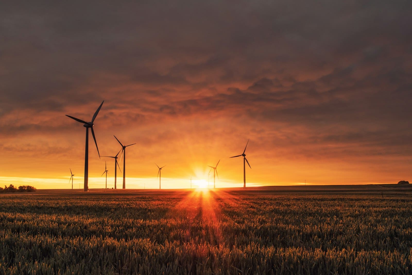 Solar and wind renewable energy at sunset